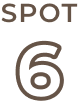 SPOT 6